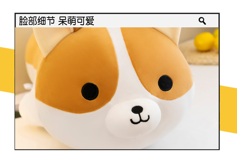 柯基_18.jpg