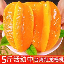 【紅龍楊桃】福建漳州楊桃5斤新鮮水果當季五角星水果時令包郵