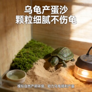 ������ɰ����ɰ��Ȼ����ɳ�~��䁵��쾰����a�����d��ɳ������