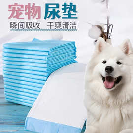 狗狗尿垫加厚除臭尿湿宠物隔尿吸水垫兔子猫咪用尿片一次性尿布