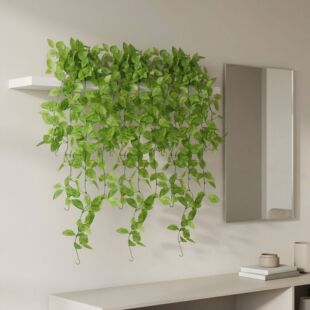 ����G�}�ڒ����͏d�҃ȾGֲ�b��������ϼٻ��ٗl������@ֲ��