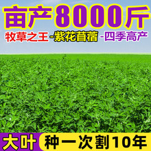 ϻޣݷNιiţuZļ~ݷN~ݷN