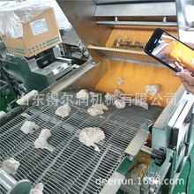 ը�����������C�� ֥��������C �Ԅ���֥���O�� �Ɠp�ʵ�