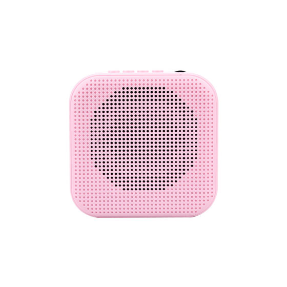 New shopping guide teacher dedicated portable bee loudspeaker head wired headset player wholesale