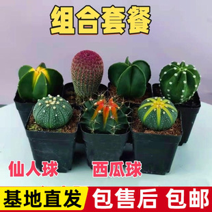 ����������t̫ꖽM���ײͶ���ֲ���҃������k���Һ��B�ͺ�