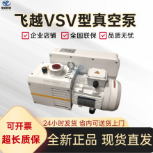 浙江飞越VALUE单级真空泵VSV-300用于电池行业，硫化机VSV-300P