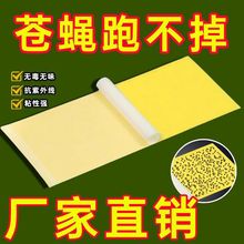 ωωճճʽßճNմճωճxճnω