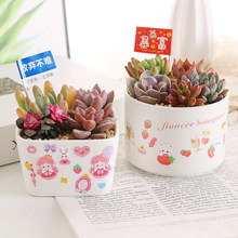 ����С���ԌWУ�Nֲ���diy���ϰ�ֲ�九38����ӶYƷ΢���^�Gֲ