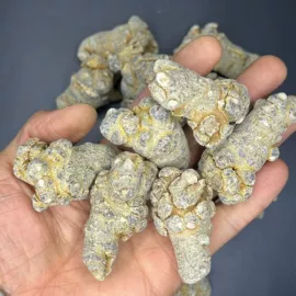 桃胶;石斛/枫斗;其他滋补