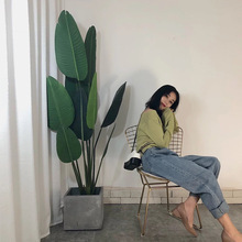 ���ͱ��W����ֲ��������˽������B�辰�҃��b����ԾGֲ�[����