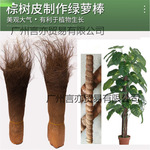 棕树皮棕榈树皮山棕片棕毛绿萝棒鱼苗孵化产卵园林花卉盆景绿化