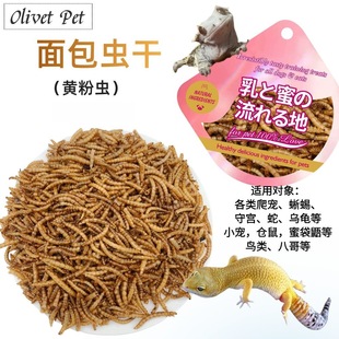 ����x�}��Z�S���x��ȼZ���r�Z���߼Z���}����Ħ���������