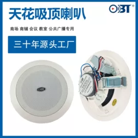 公共广播系统;麦克风/话筒;专业音响