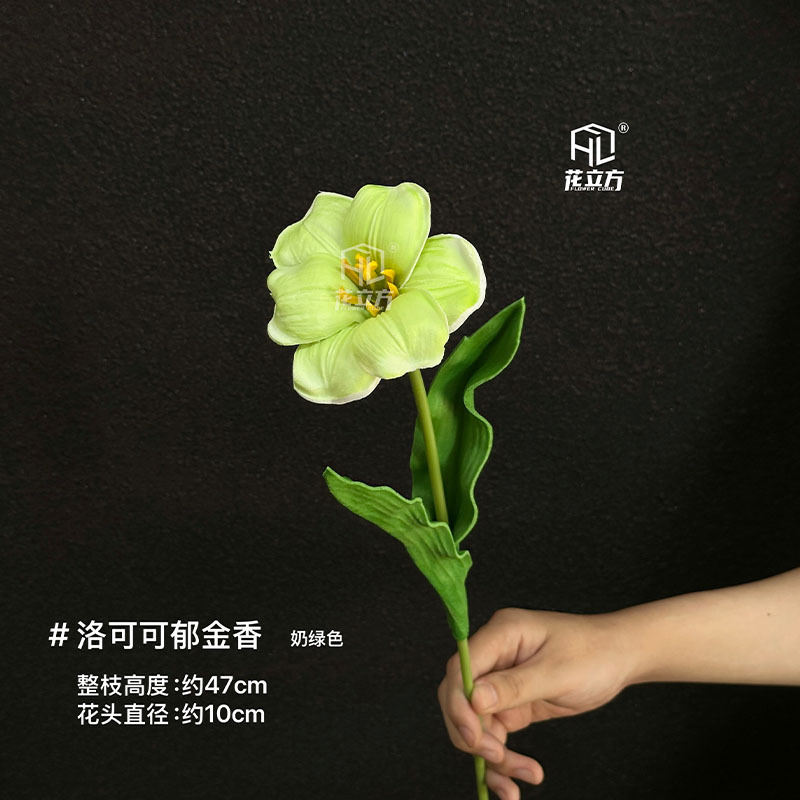밀크 그린