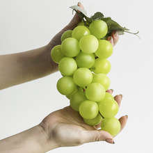 ��������ģ�� ꖹ�õ������ ˮ���ꙻ��չʾ���� �Ӱ巿�b�Ʒ