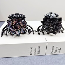 2024¿Wrнݿ荻ץAů߼аٴlAl