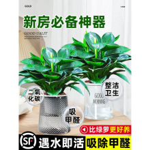 ���~��荾G�������Ԏ������G�}�jˮ��ֲ���҃Ȼ�������Gֲ����ȩ