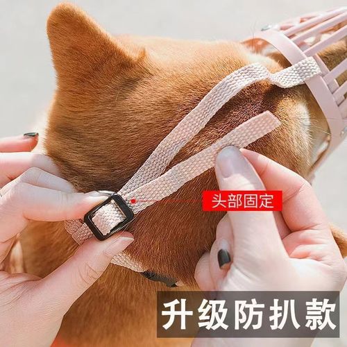 Manufacturer's direct sales dog muzzle anti-bite barking disorder eating mask cage small medium large pet dog muzzle mouth guard dog cover