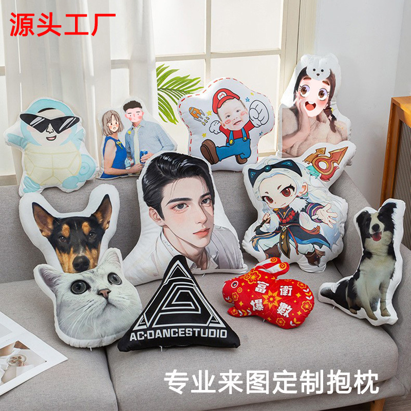 Customized Pillows with Your Own Design, Customized with Company Logo, Personalized Pet Pillows, Special-Shaped Cushions, Photo Pillows