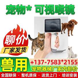 新玛 宠物喉镜 兽用喉镜 动物专用喉镜 动物气管插管镜 厂家26