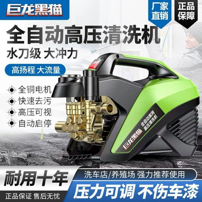 Adjustable Pressure Car Washer Portable car washer
