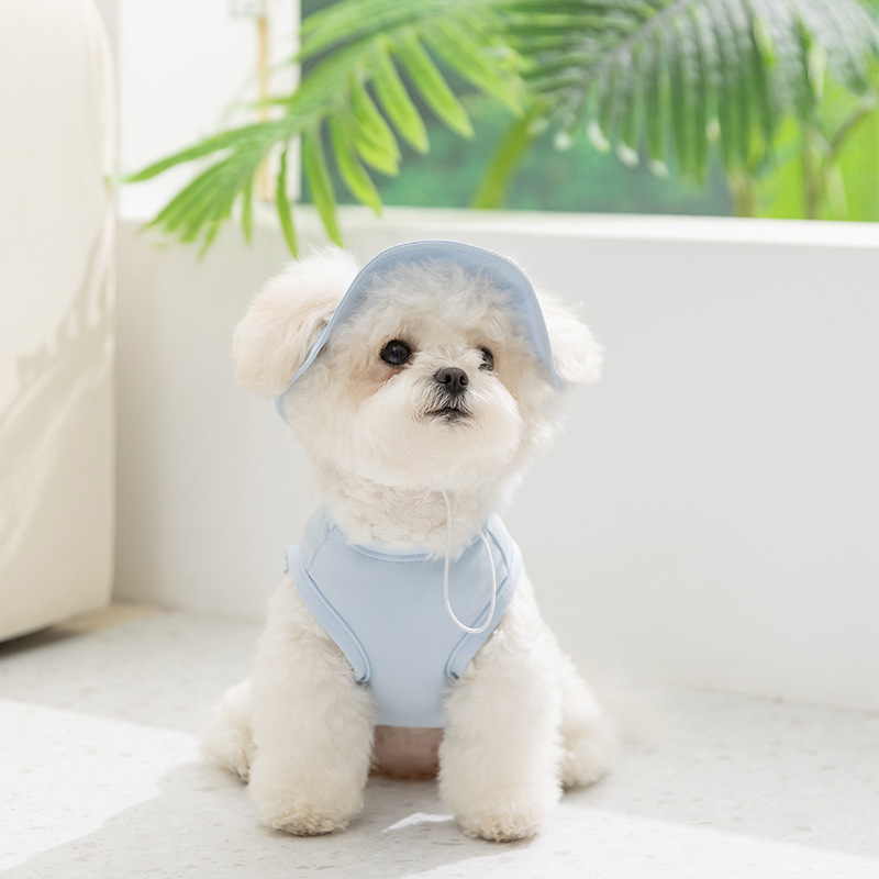 Синий жилет, шапка, защита от солнца