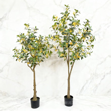 ����Gֲ�𻨘����ԼҾӿ͏d����辰�b٘�߷���