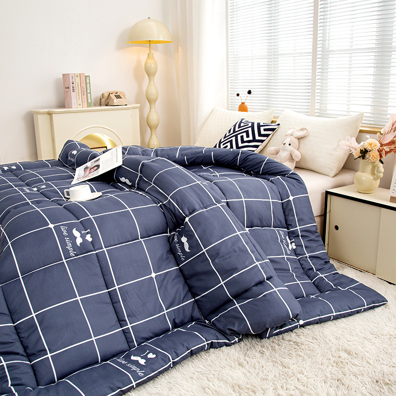 新款秋冬被子单人双人被水洗棉面料加厚保暖双人冬季床上用品棉被