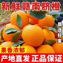 【顺丰包邮】江西赣南脐橙10/5斤大果整箱当季新鲜水果现摘甜橙子