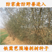 NFhʷNӴ̘N GN ̘N ̘ Bվ