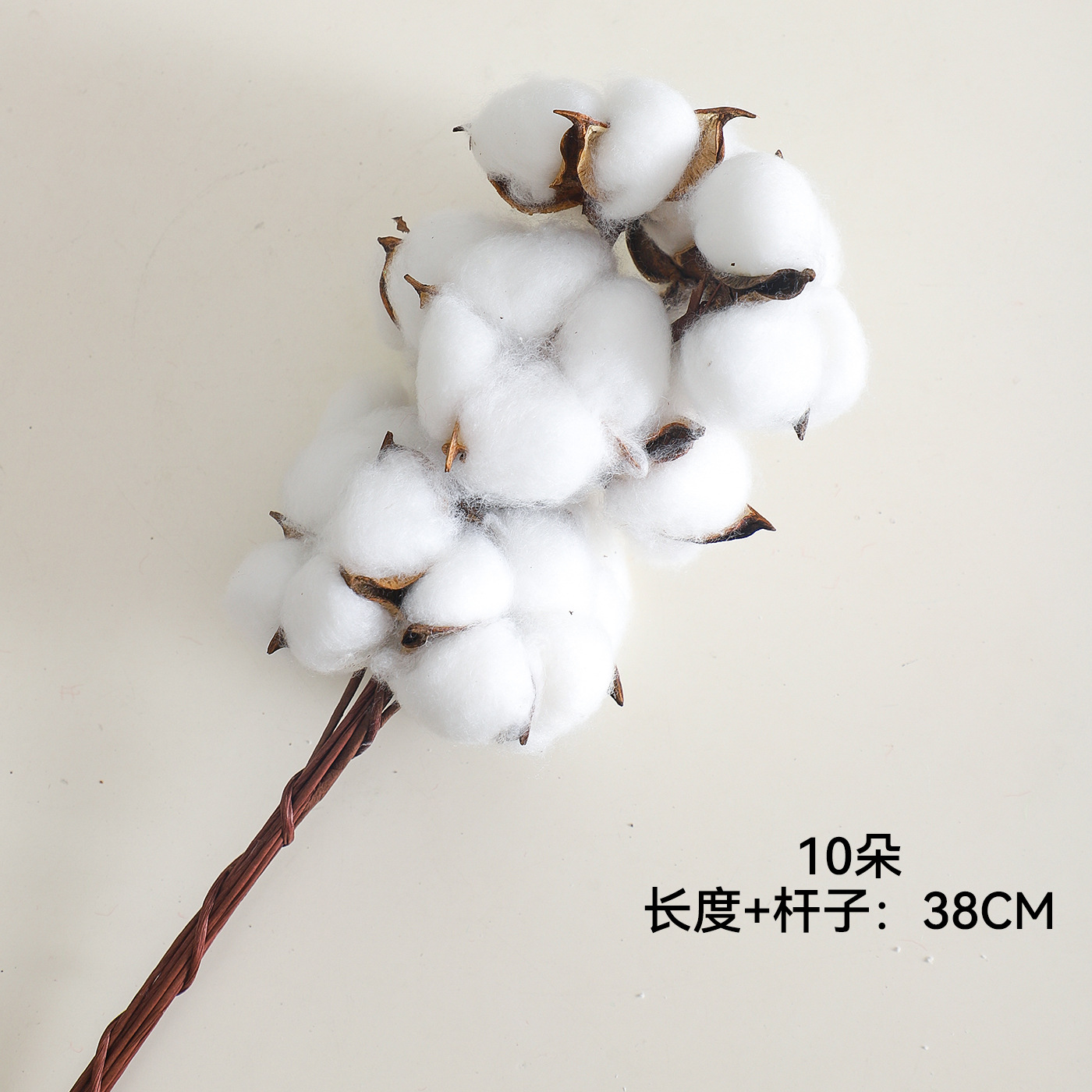Navidad ins caparazón de algodón natural con varilla flor seca flor artística DIY accesorios ramo florista material de decoración