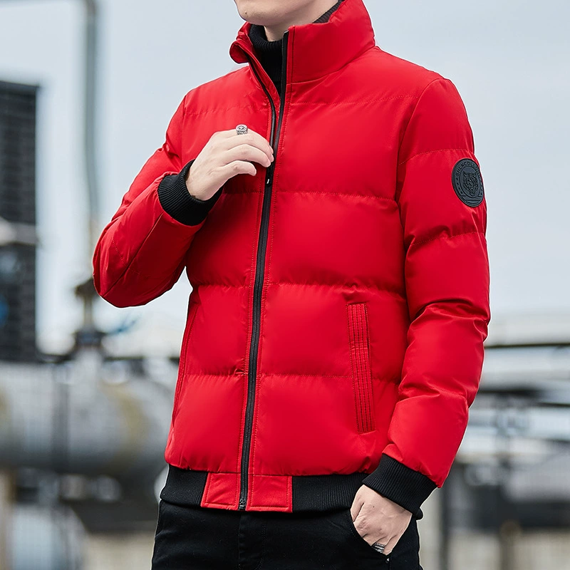 Demi-season warm men's down jacket for elementary school students, 2022 collection, Korean style