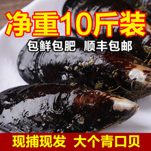 �r���ش����ؐ ���r�󺣺絭��Ұ���Oؐ ؐ�ˮ�a5����S���]