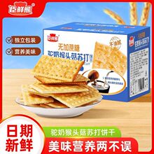 ��̺��^���K��� ��̦�恆��޼��������[����12�N�߲��߷N�