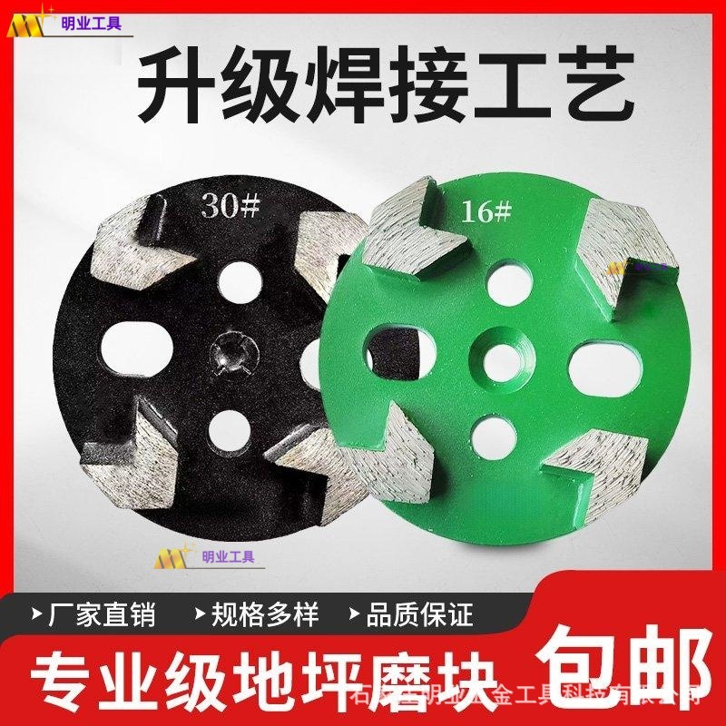 箭齿 .jpg