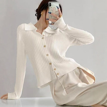 polo�I��q�_������Ů���＾�¿����ë��������|ᘿ����̿�����