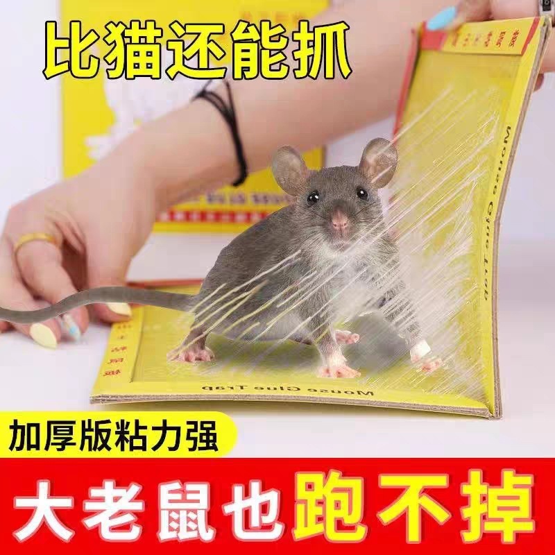ネズミは強力にネズミを消します。ネズミを捕まえて、ネズミを捕ります。|undefined