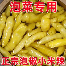 �ω��ݽ�С�����������خaҰɽ��������r���b�ݲ��Pצ�{ζ��