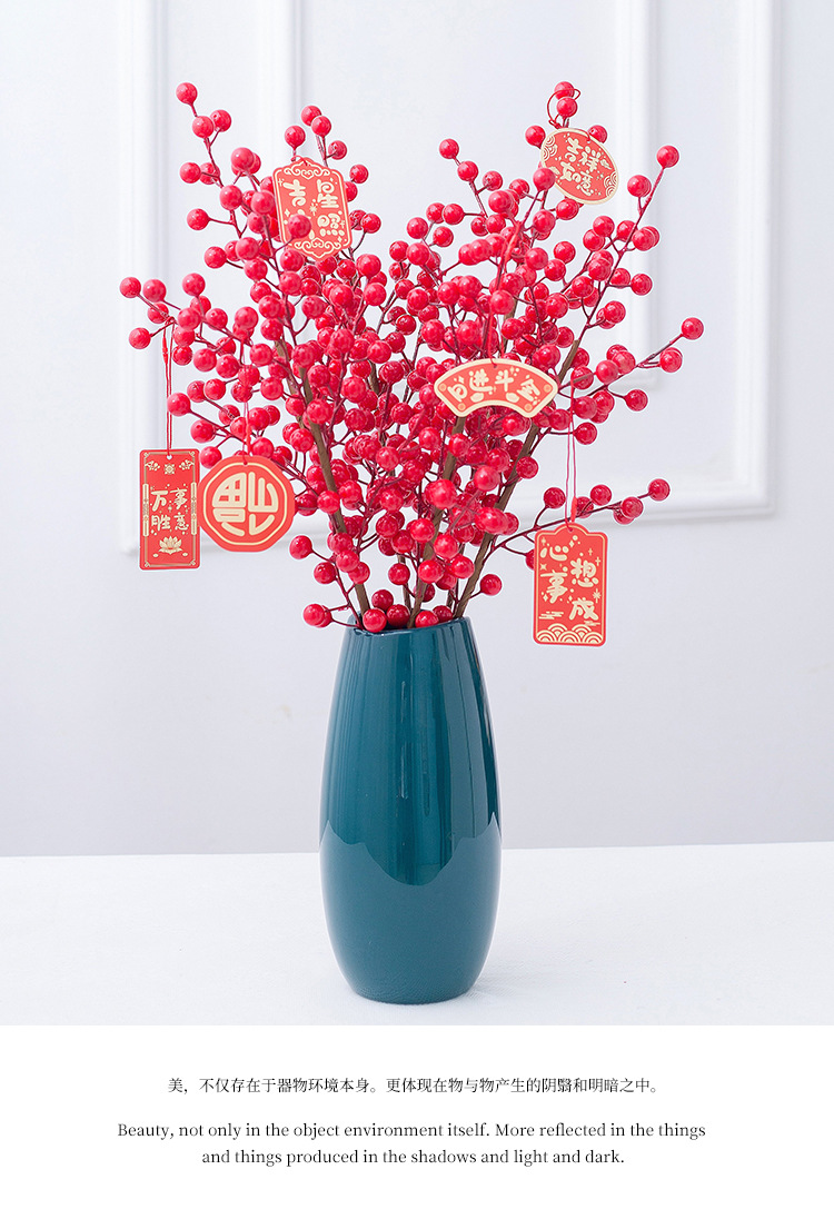 花瓶发财果详情_13