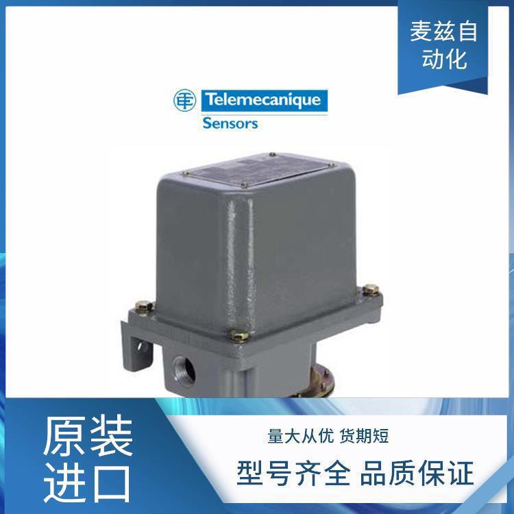 XS530BSDAL2 Telemecanique ACW2M129012 travel switch