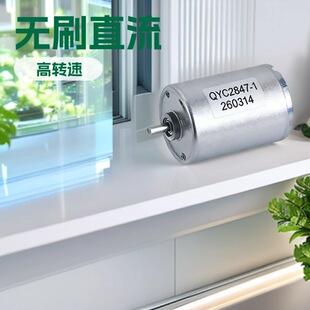 2847�oˢֱ��늙C늄Ӵ���28mm΢��늙C����늙C�R�_ BLDC Motor