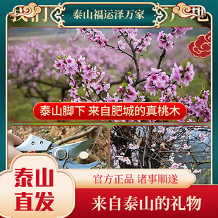 2025��ʽ���s��ľ���k���bF���L����Ȼľ�|��ˇ