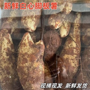 �����_�������r��Ƥ����ë�텢�������r���߲��r���ԷN��Ŵ�F�ڰl