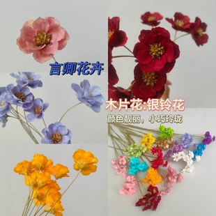 �����y⏻� ��Ȼ�ɻ����_�mϵ��ľƬ�� С����С���ҾӲ廨����