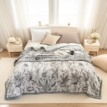 跨境外贸礼品活动送礼A类双层加厚拉舍尔天丝超柔云毯学生毛毯