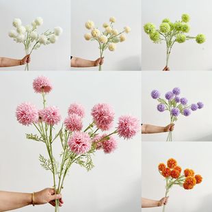 ���W�Lins�Ҿ�ܛ�b���滨�ѹ�Ӣ��c�����^�[���쾰�����b�Ʒ