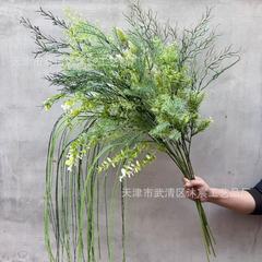 小紅の本は人気があります。