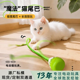 猫猫玩具;狗狗玩具