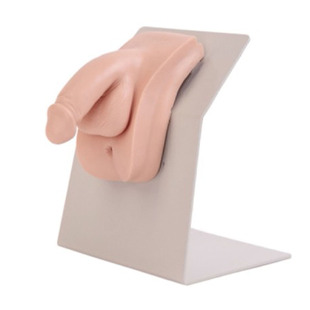 Senior Dressing Style Male Catheterization Model Catheterization Model Male Km/28E