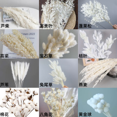 ドライフラワー永生花クロスボーダーホワイトシリーズ花材ウサギ尾草宝石草ヨシヨシヨシヨシヨシヨシヨシヨシヨシヨシヨシヨシヨシヨシヨシヨシヨシヨシドライフラワークロスボーダー